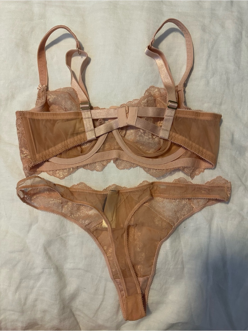 Dita Von Teese Sheer Lace Underwire Bra & Thong Set in Dusty Peach - Picture 2 of 5